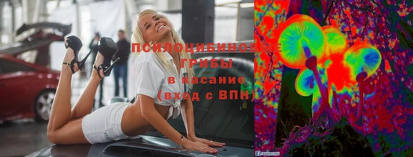 ПСИЛОЦИБИНОВЫЕ ГРИБЫ Бородино