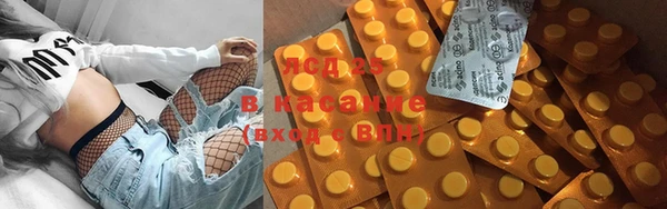 ПСИЛОЦИБИНОВЫЕ ГРИБЫ Бородино