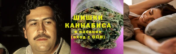 стафф Бронницы