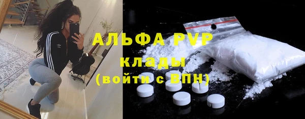 ПСИЛОЦИБИНОВЫЕ ГРИБЫ Бородино