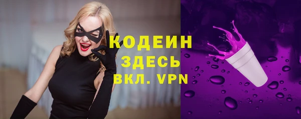 ПСИЛОЦИБИНОВЫЕ ГРИБЫ Бородино
