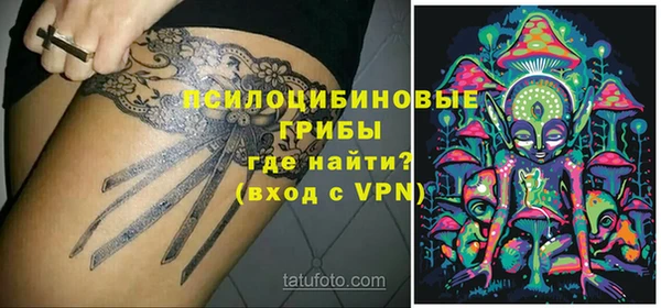 ПСИЛОЦИБИНОВЫЕ ГРИБЫ Бородино
