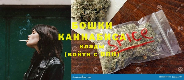 стафф Бронницы