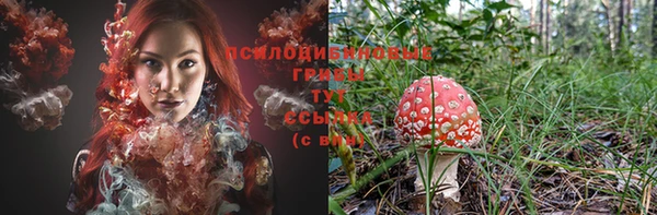 стафф Бронницы