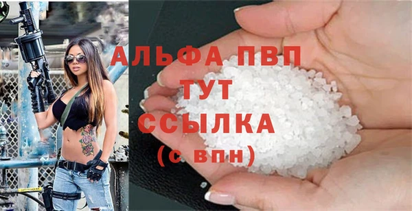 ПСИЛОЦИБИНОВЫЕ ГРИБЫ Бородино