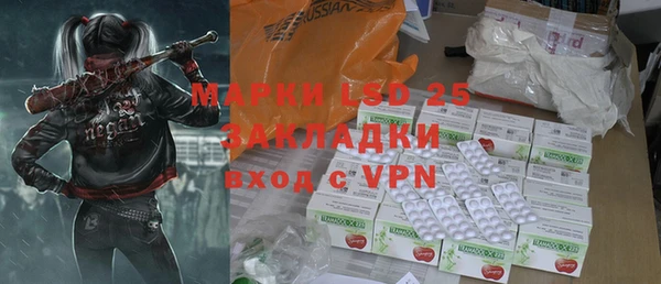 ПСИЛОЦИБИНОВЫЕ ГРИБЫ Бородино