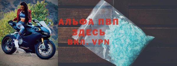 ПСИЛОЦИБИНОВЫЕ ГРИБЫ Бородино